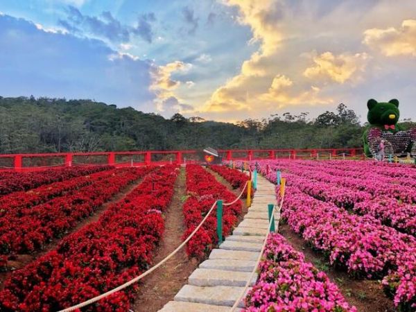 Da Lat Flower Festival 2024